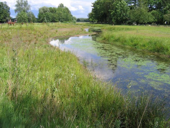 Daarnaast willen we in een deel van het gebied de toplaag van de bodem verwijderen zodat de grond schraler wordt.