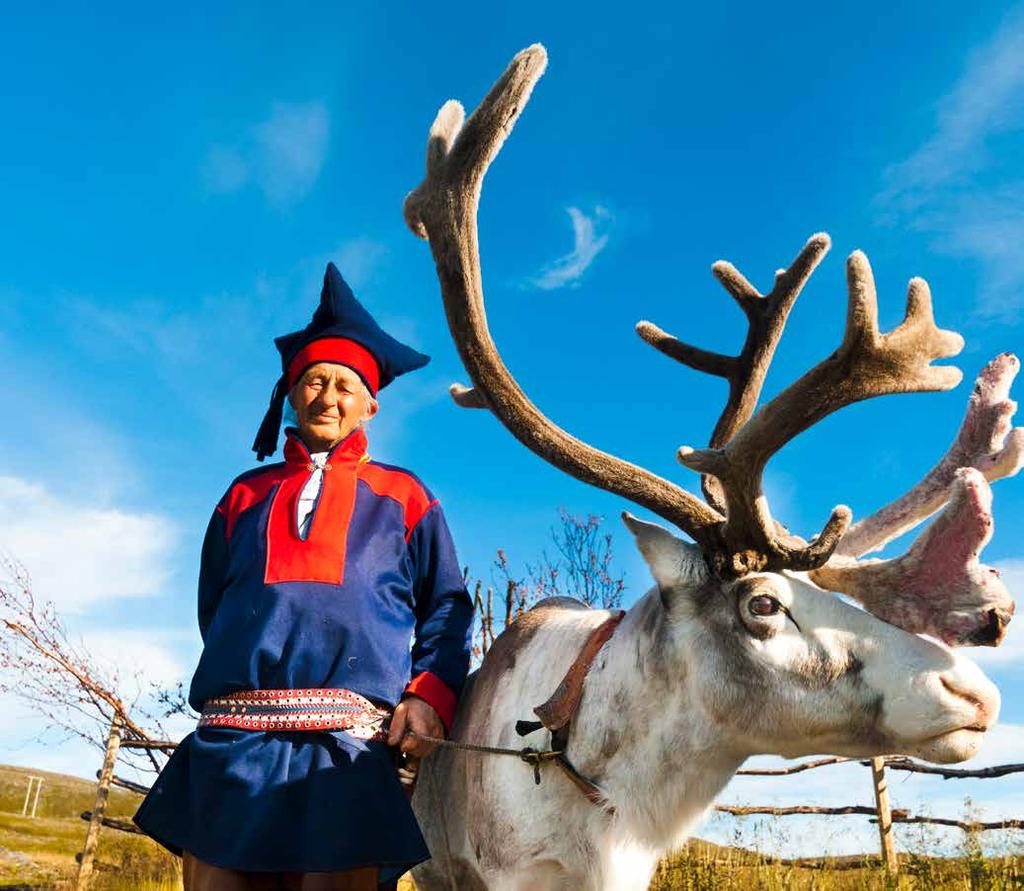 Hun bevolkingsgroep bestaat uit ongeveer 70.000 à 100.000 personen waarvan ongeveer de helft in het Noorse deel van Lapland woont.