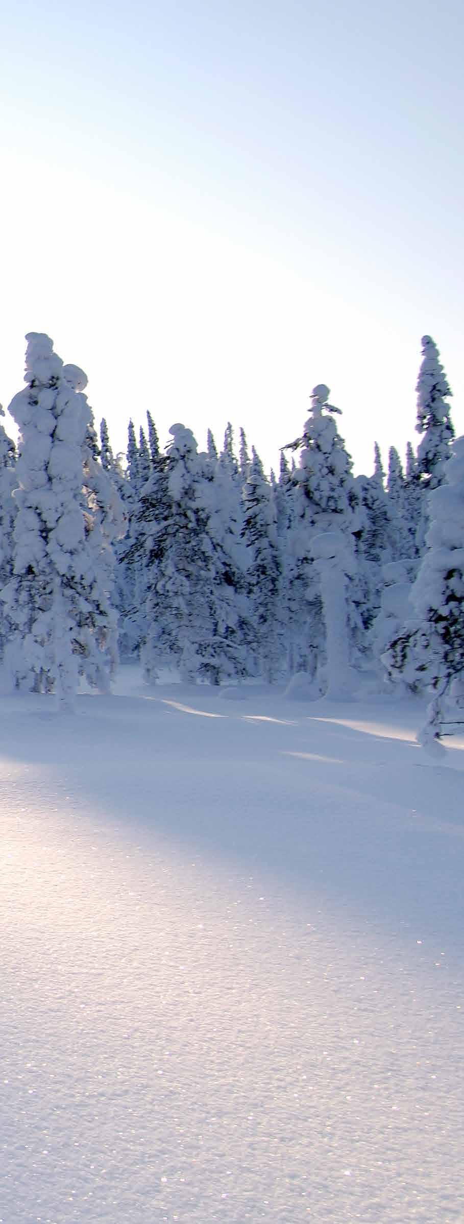 Dag 2: Spannende sneeuwscootersafari Na een heerlijk ontbijt haalt u de thermische kledij op die u mag houden tot het einde van de reis.