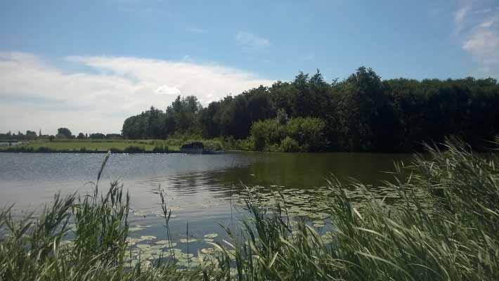 Lutjebroekerweel 27 Lutjebroekerweel 28 Aalscholver 1 Aalscholver 1 1 Blauwe Reiger 1 3 Blauwe Reiger 1 6 9 Boomkruiper 2 1 2 Boerenzwaluw 11 1 6 Boomvalk 1 2 Bosrietzanger 1 Bosrietzanger 1 Buizerd