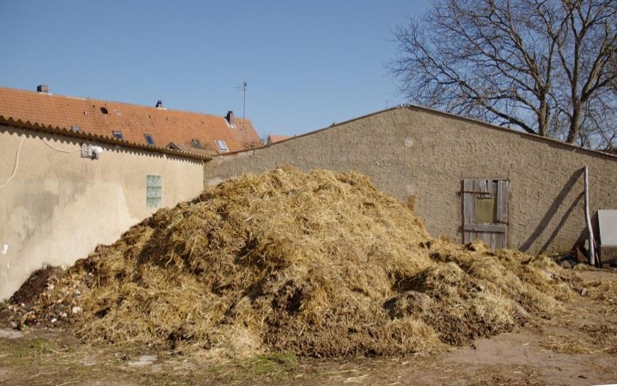 Waarom organische bemesting? Dierlijke mest is van oudsher een gegeerd goed in de landbouw.