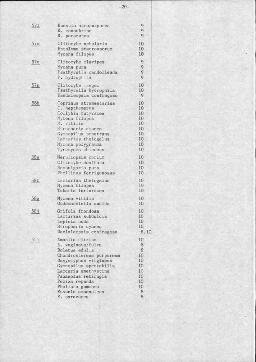 ョ ケャセ -20-571 Russula atropurpurea 9 R. consobrina 9 R.