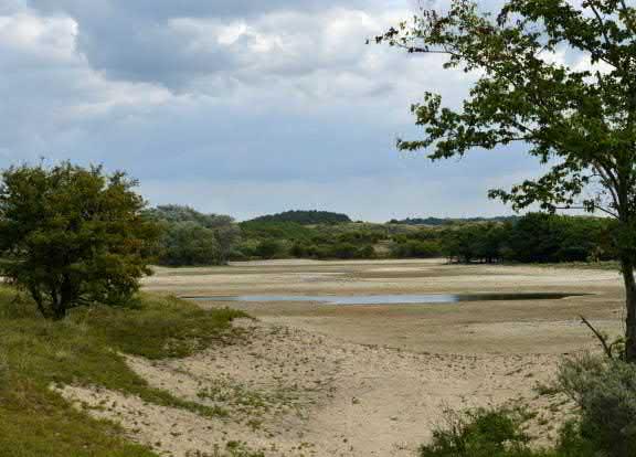 duinen Afb 43 Water