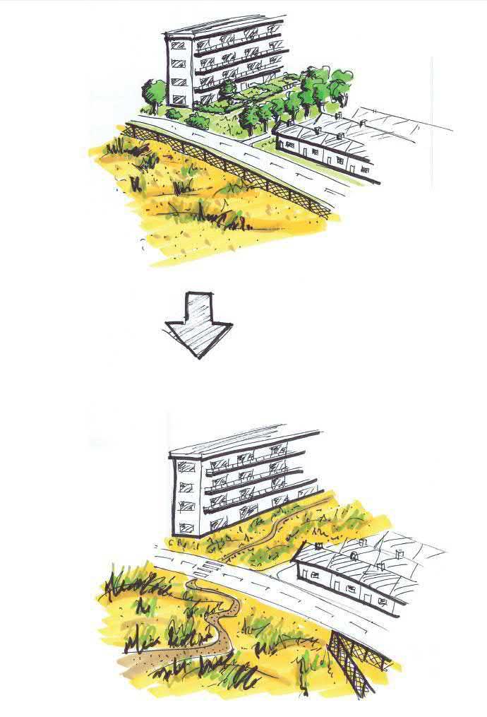 ontwikkeling versterken landschappelijk