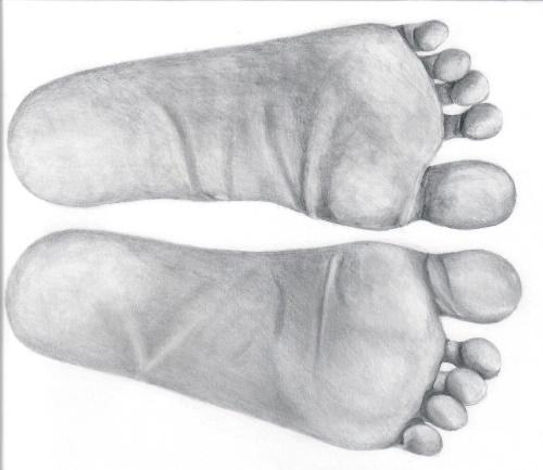 De normale voet Dit is een tekening van normale voeten.