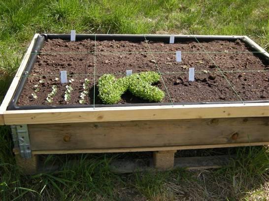 Groene Welle eenmalig weer gebruiksklaar worden gemaakt. Wanneer er opnieuw zaden moeten worden aangekocht, kunnen die via De Groene Welle tegen kostprijs worden besteld.