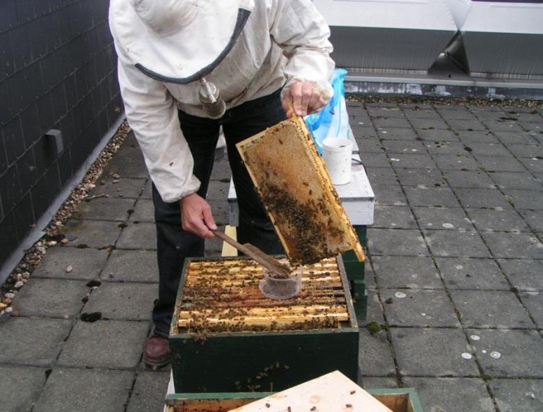 Bemonsteren bijenvolk Sacrificial sampling Ten koste van bijenvolk