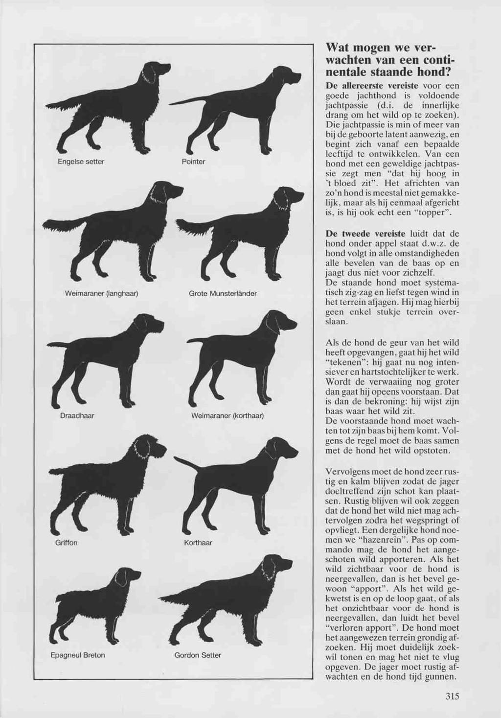 Engelse setter Pointer f Wat mogen we ver wachten van een conti nentale staande hond? De allereerste vereiste voor een goede jachthond is voldoende jachtpassie (d.i. de innerlijke drang om het wild op te zoeken).