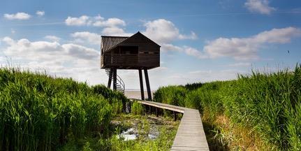 3.2. Strand 1 Bestaansrecht verblijfsrecreatie: beleefbare stranden voor gasten én bewoners Beleefbare strand-