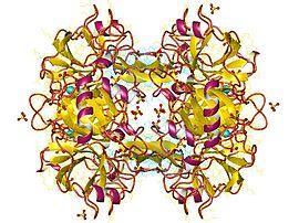 Stabiliteit Confounders Dumoulin E,