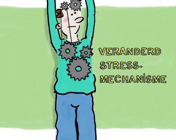 Positieve gedachten helpen stress te verminderen Aandachtsoefeningen (mindfulness), yoga Ontspanningsoefeningen Voldoende rustmomenten / slapen (7-8-9 uur) Vakanties (maakt niet uit wat