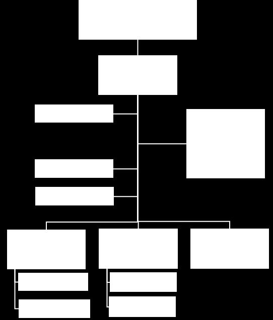 Schematisch is de organisatie van SHH als volgt weer te geven: 3.4.