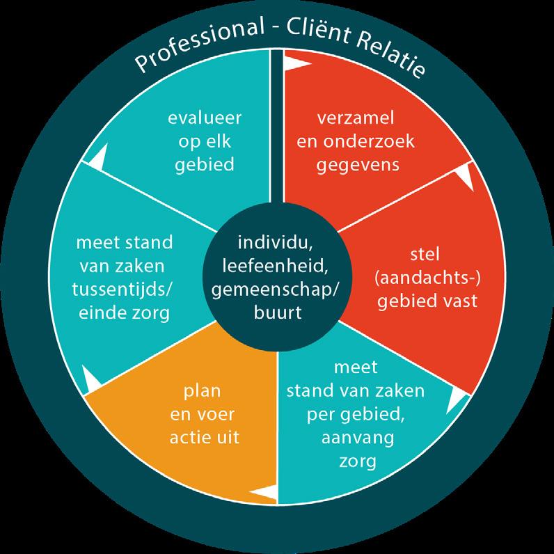 2 Het zorgplan maken Methodisch werken bestaat uit het verzamelen van gegevens bij de cliënt en verwanten en behandelaren, aandachtsgebieden vaststellen, bepalen wat je wilt bereiken (streefscores),