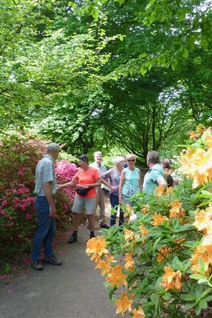 Activiteiten KBO Wandelclub Woensdag 17 mei hebben we met de wandelclub van de KBO op de Wageningse berg een Klompenpad gelopen met 11 deelnemers.