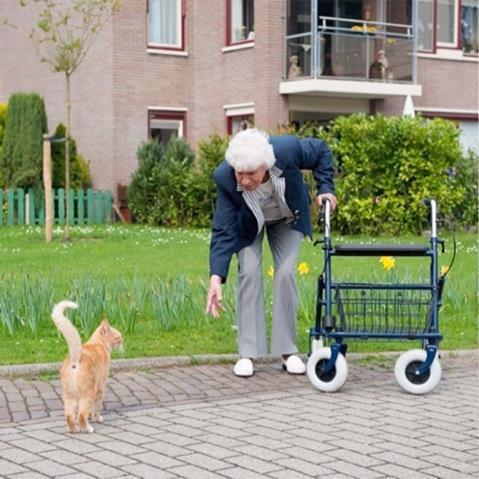 Medisch en/of ergonomisch advies Een medisch en/of ergonomisch advies kan onderdeel uitmaken van het onderzoek. De Wmo-consulent informeert u daarover.