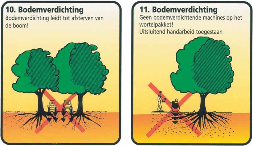 Bij beperkte ruimte moet bescherming van de boomspiegel of minimaal een stambescherming aangebracht worden om zoveel mogelijk beschadigingen te
