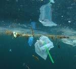 Vergelijk de werking van de gyres met het afvoerputje in bad. U kunt dit voordoen in de klas door in een glas water te roeren.