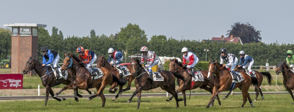 EERSTE EDITIE WAREGEM-GALOP IN WOORD EN BEELD Foto s: Guy Tratsaert De eerste editie van Waregem Galop ging van start op zondag 6 mei met als eerste overwinnaar Stall Ballerina.