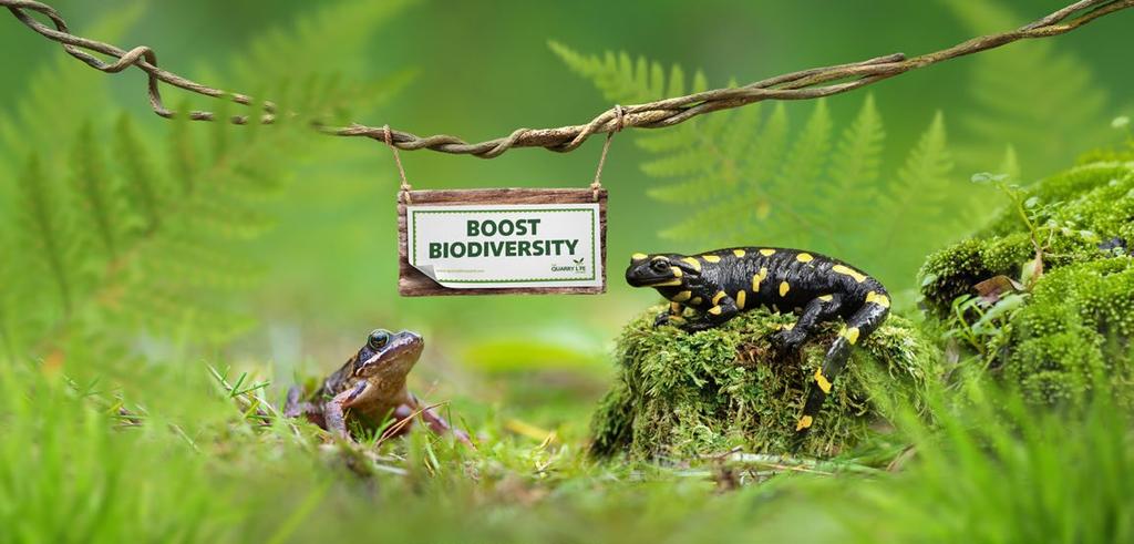 Biodiversiteit kan best spannend zijn. Zeker als je meedingt naar de Quarry Life Award.