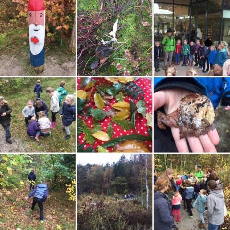 Nieuws uit groep 3: Vanmorgen zijn de leerlingen van groep 3 op excursie geweest naar Schoorl. Hier hebben wij de sporen van de paddenstoel bekeken.