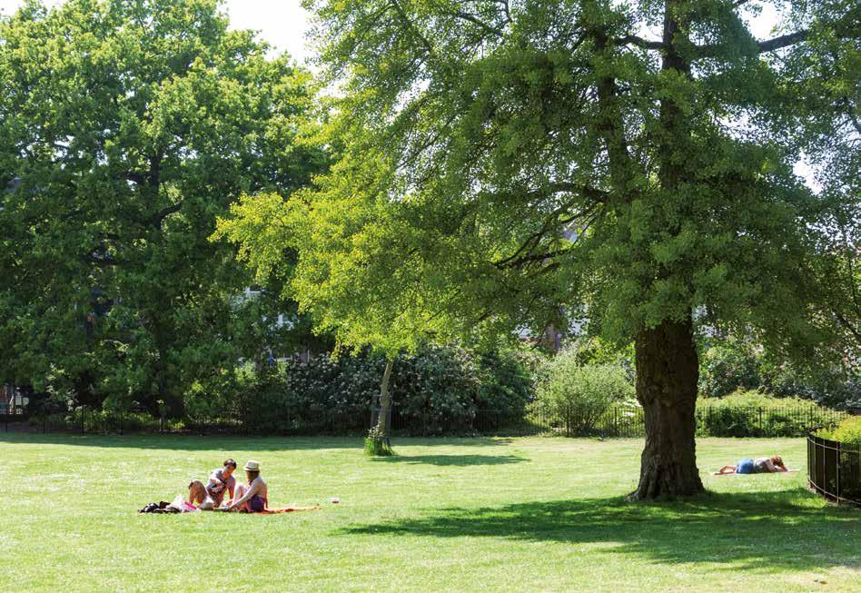 E De Haag wordt met de dag mooier, zie het prachtige Lage Voorhout e het opieuw igerichte Tourooiveld. De Bakastraat, vlakbij uw ieuwe appartemet i de Javastraat, is aageamer da ooit.