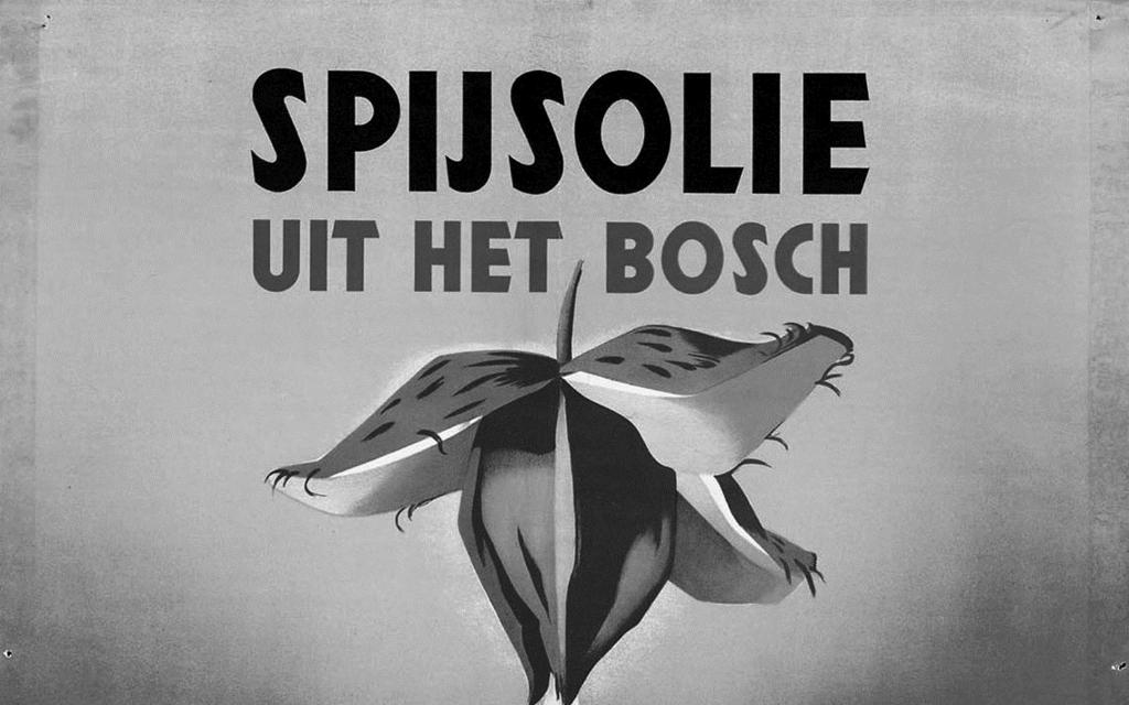 bron 15 onderdeel 1 Een poster (1944): onderdeel 2 Een recept voor soep (1945): RECEPT Neem twee kilo tulpenbollen. Maak ze schoon en kook ze. Stamp de bollen en giet er vijf liter water bij.