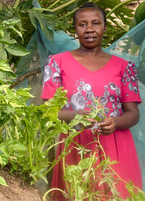 EEN BRON VAN VOEDING EN INKOMEN Vivian Philemon, een boerin uit het Igunga Ecovillage project, wilde niets liever dan haar stoffige en kale omgeving veranderen in een groene oase.