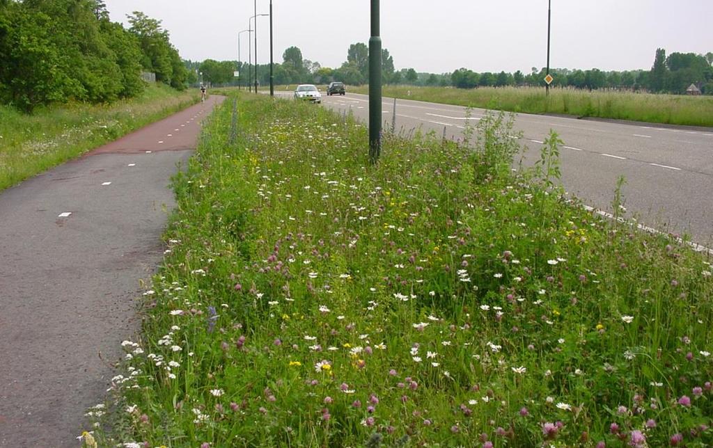 Omvang Het percentage bermen dat natuurvriendelijk wordt beheerd, varieert per gemeente.