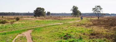 Met de trein gaan we naar Bussum Zuid, waar we op de hei een wandeling gaan maken. Halverwege gaan we lekker picknicken.