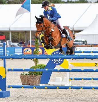 Eén van zijn opvallendste paarden was Diadarco van Evendael Z (Diamant de Semilly x Darco), gefokt door Hendrik Opdecam. Ze wonnen één proef en werden tweemaal tweede in een 1.50m rubriek.