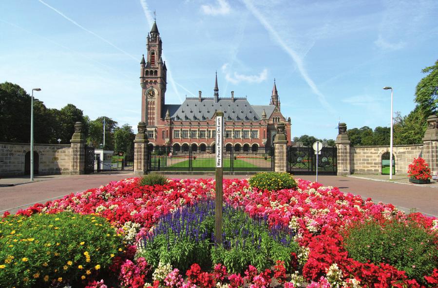 Studeren in Den Haag In Den Haag, stad van Vrede en Recht, zetelt de Nederlandse regering op het Binnenhof en is het Koningshuis alom vertegenwoordigd.