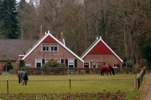Mentinknijhuis ligt aan de overkant van de Mentink-es aan de Dollemansweg. Het huis heet ook wel de Pieper of De Pleskert. Er worden paarden gehouden.