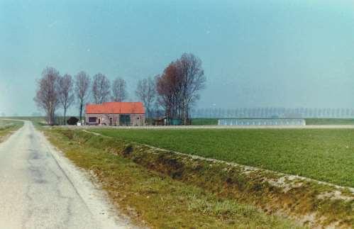 Abraham Cornelis Geluk, landbouwer, won. Tholen Molenvlietsestraat 26. - Nieuwland D 3 gedeeltelijk dj 1959 - D 3bis gedeeltelijk 1. D 160 huis, schuren, bouw- weiland en zijkant weg 0.50.