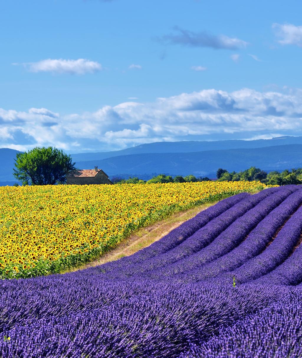 Les Résidences du