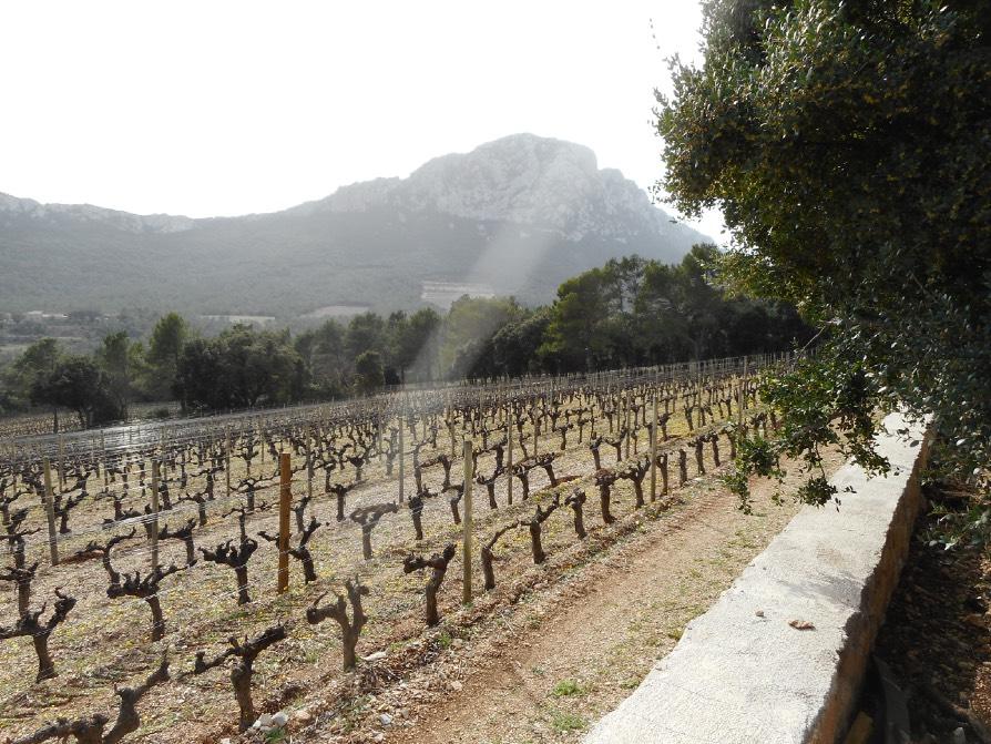 Domaine de l Hortus Sinds jaren bij de betere domeinen uit de Languedoc. De wijnen worden gekenmerkt door een opmerkelijke frisheid en zeer veel finesse en complexiteit.