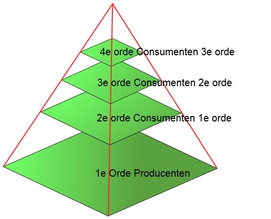 voedselpiramide.