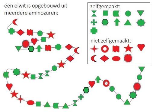 voorgesteld door moleculen die aan elkaar geschakeld zijn.