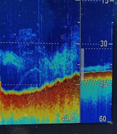 2 vlaggen betekend dat het een noordelijke markering van het net is, 1 vlag een zuidelijke markering van het net. Op deze manier krijgt u reeds een beeld hoe het net zal staan.