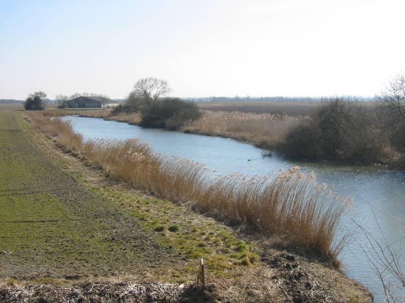 2.6.2 Groen-blauwe inpassing Het Waterschap is bezig met het opstellen van de Integrale gebiedsanalyse (IGA). Hierin staat aangegeven wat de wateropgave is voor het gebied in de autonome situatie.