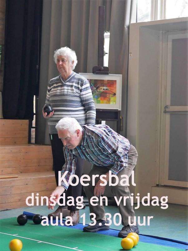 De bedoeling van het spel is, net als bij jeu de boules, om de ballen zo dicht mogelijk te rollen bij de jack, het witte doelballetje.