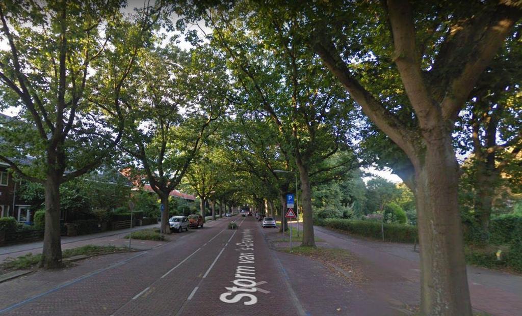 treffen. Het betreft de Prinsenweg en de Wittenburgerweg. In deze paragraaf worden deze maatregelen toegelicht.