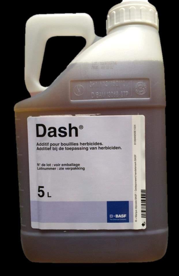 DASH DASH