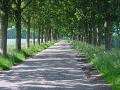 Organisatie De stuurgroep A12 SALTO bestaat uit tien samenwerkende bestuurlijke partijen. De Stadsregio Utrecht (BRU) is trekker van het project en voorzitter van de stuurgroep.