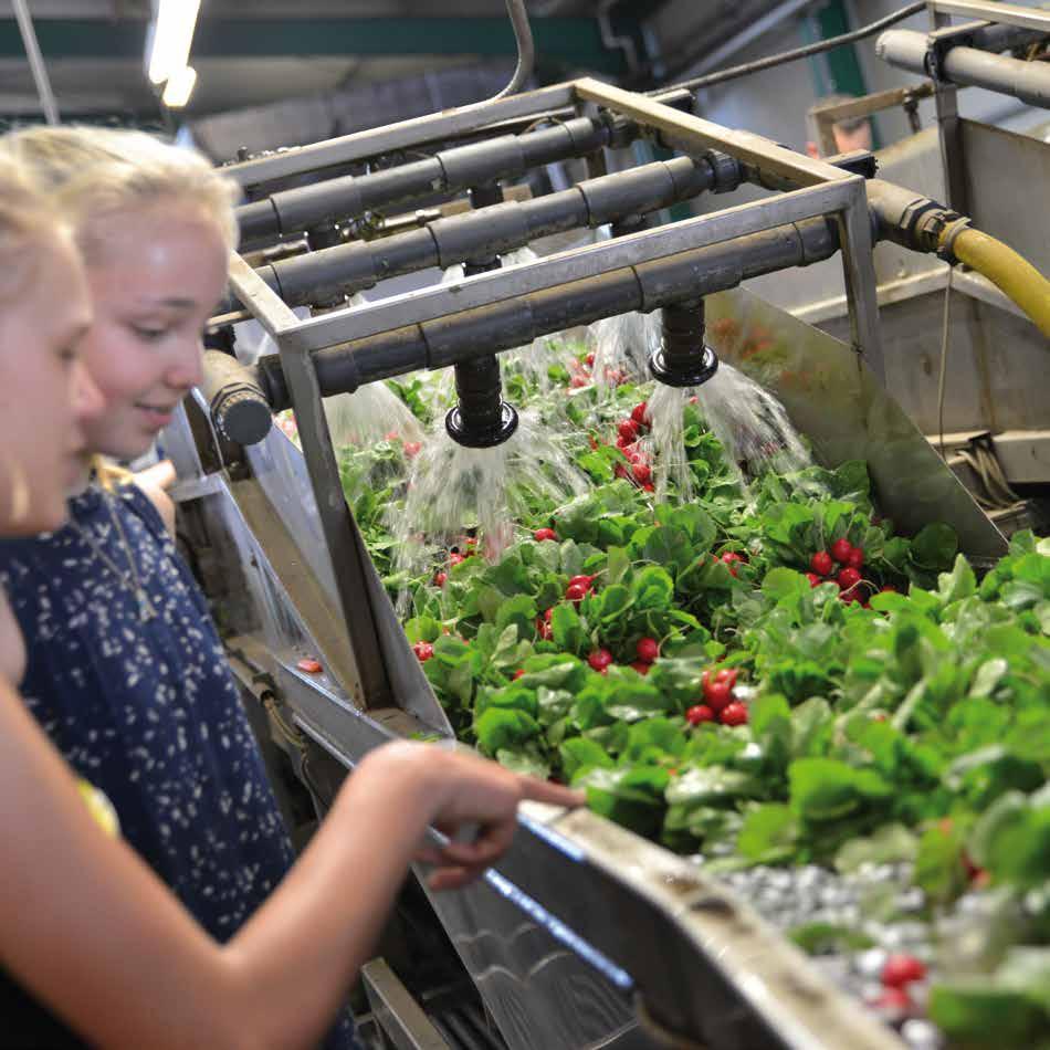 DALTON HET GROENE LYCEUM Bij Lentiz Dalton MAVO bieden wij niet alleen een mavo-opleiding.