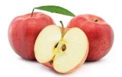 Hierdoor zijn de appels lang houdbaar en zijn er bijna het hele jaar Nederlandse appels te koop!