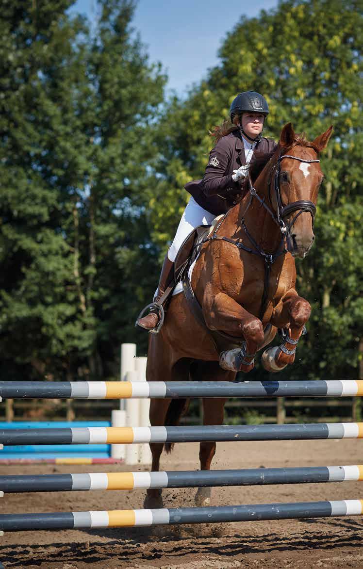 Afhankelijk van het niveau weet je ook alles over paardenmanagement en -bedrijfsvoering. Natuurlijk kun je goed met klanten, leveranciers en dierenartsen omgaan.