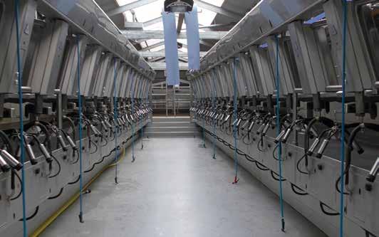 Op het bedrijf Schrama in Rijpwetering worden 160 koeien gemolken. Driekwart van de melk wordt op het bedrijf tot kaas verwerkt. De rest van de melk wordt geleverd aan het zuivelbedrijf.
