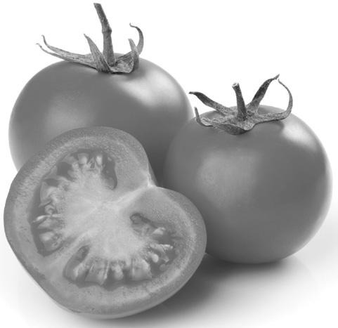 BASISSTOF thema 7 Bloemen, vruchten, zaden opdracht 18 practicum EEN TOMAAT BENODIGDHEDEN een tomaat een mes tekenmateriaal WERKWIJZE Snijd de tomaat in de lengte door (langs het steeltje) (zie