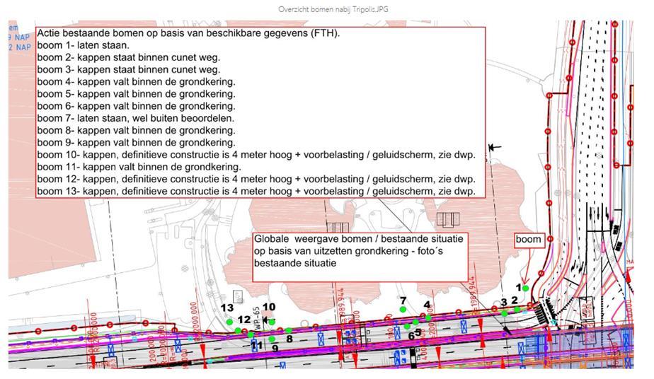 Extra bomenkap Tripolis Locatie Reden (just-in-time principe) Planning kap West (Tripolis) Aanbrengen voorbelasting en