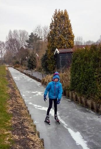 De deelnemers hadden al een paar weken eerder een dahliaknol in een pot geplant en de meeste daarvan lieten al mooie stekken zien. Hiermee kon Henny laten zien hoe het stekken in de praktijk gaat.